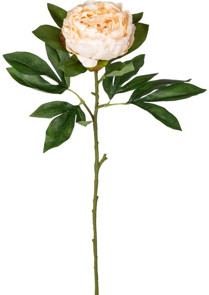 Yapay Şakayık Krem 77 Cm.