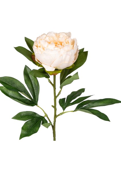 Yapay Şakayık Krem 77 Cm. fiyatları