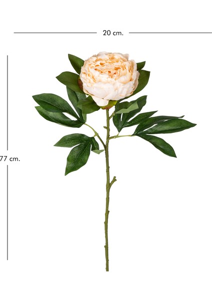 Yapay Şakayık Krem 77 Cm. modelleri