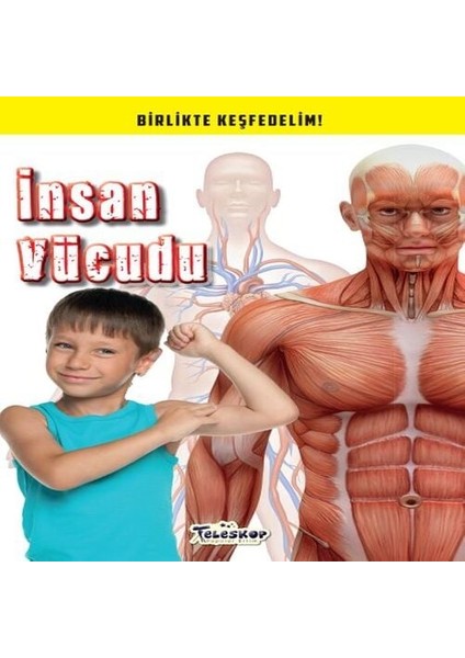 Insan Vücudu - Birlikte Keşfedelim