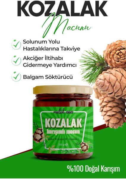 Kozalak Macunu Pekmezi Çam Kozalağı 240GR