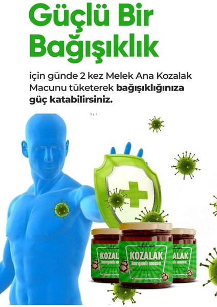 Kozalak Macunu Pekmezi Çam Kozalağı 240GR fiyatları