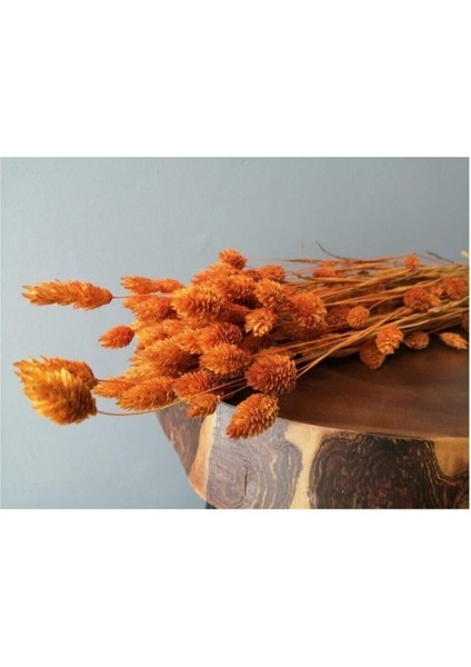 Turuncu Kuru Çiçek ve Kuş Otu, Doğal Dekor Malzemesi