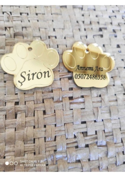 Sevimli Köpek Pati Şeklinde Pleksi Isimlik, Evcil Hayvanlar Için Renkli ve Şık Tasarım