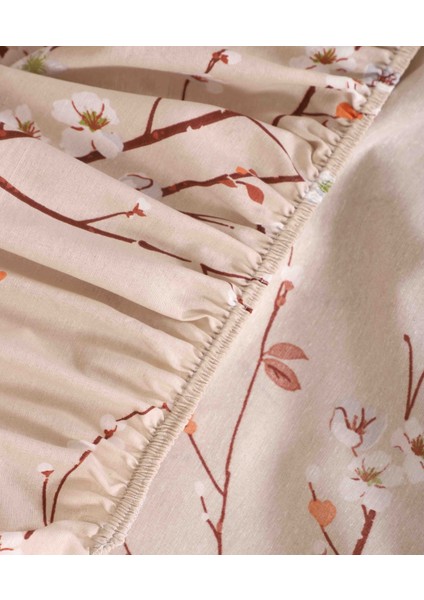 Desenli Lastikli Çarşaf Tek ve Çift Kişilik fiyatları