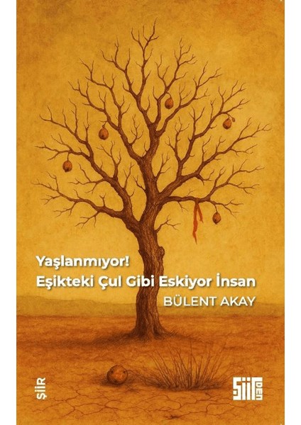 Yaşlanmıyor, Eşikteki Çul Gibi Eskiyor Insan