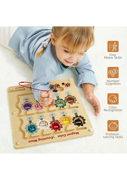 Manyetik Ahşap Renk ve Sayı Öğretici Meşgul Arı Labirent Montessori Oyunu