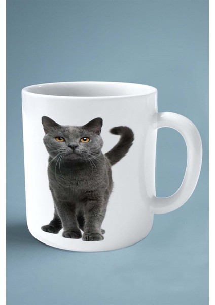 Scottish Foldi Kedi Isimli Kişiye Özel Baskılı Kupa Bardak Model 5