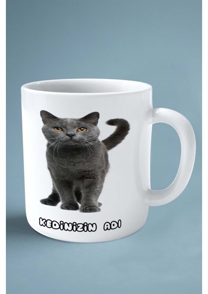 Scottish Foldi Kedi Isimli Kişiye Özel Baskılı Kupa Bardak Model 5 fiyatları