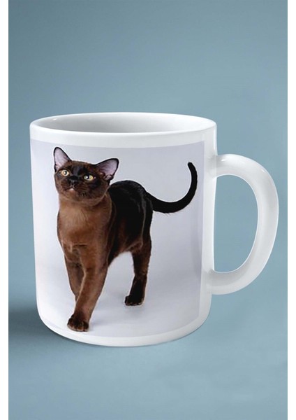 Suphalak Kedi Isimli Kişiye Özel Baskılı Kupa Bardak Model 6