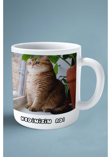 Scottish Straight Kedi Isimli Kişiye Özel Baskılı Kupa Bardak Model 2 fiyatları