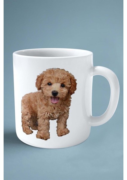 Poodle Köpek Isimli Kişiye Özel Baskılı Kupa Bardak Kıvırcık