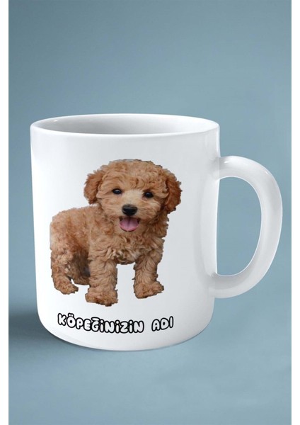 Poodle Köpek Isimli Kişiye Özel Baskılı Kupa Bardak Kıvırcık fiyatları