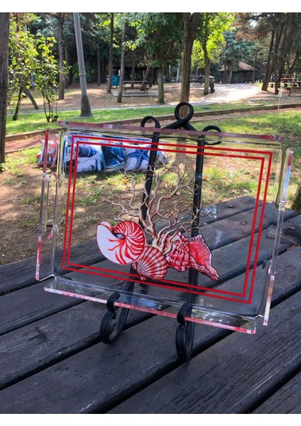 Kırmızı Deniz Kabukları ve Mercan Temalı Şeffaf Tepsi, Şık ve Renkli Sunumlar Için