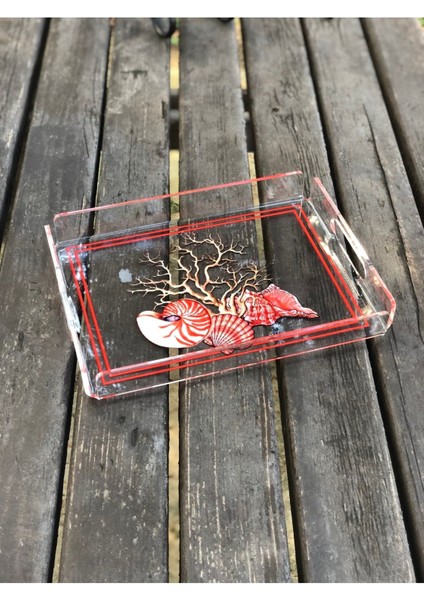 Kırmızı Deniz Kabukları ve Mercan Temalı Şeffaf Tepsi, Şık ve Renkli Sunumlar Için fiyatları