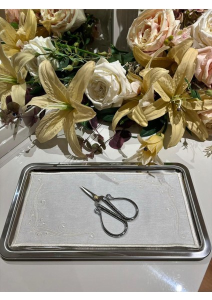 Parlak Gümüş Sunum Tepsi Seti, Şık ve Zarif Ikramlıklar Için Ideal Seçim fiyatları