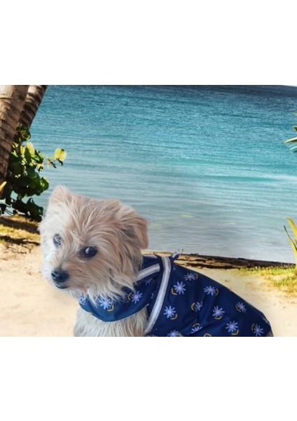 Köpek Yağmurluğu indirimleri