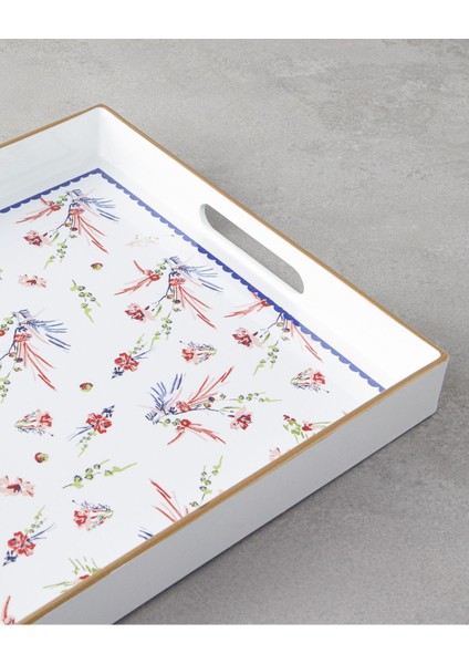 Mavi ve Ekru Renkli 40X26 cm Pp Tepsi, Şık ve Dayanıklı Tasarım modelleri