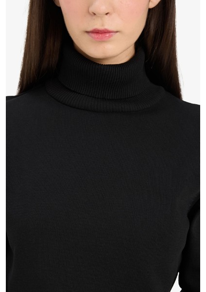 Regular Fit Yarım Balıkçı Yaka Triko Kazak E8498AX25WN indirimleri