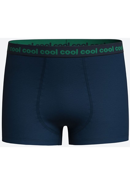 Yeni Sezon Baskili Erkek Cocuk Boxer 3'lu - W40352Z4 fiyatları