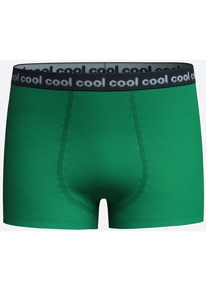 Yeni Sezon Baskili Erkek Cocuk Boxer 3'lu - W40352Z4 fırsatları