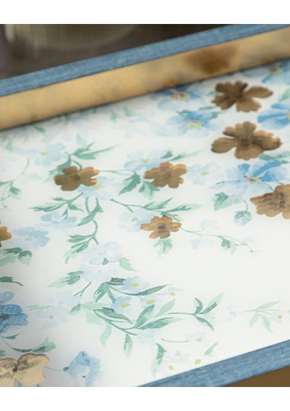 Şeffaf Cam Dekoratif Tepsi, Mavi Renkli, Zarif ve Şık Tasarım modelleri