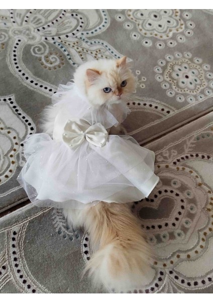 Kedi &köpek Gelinlik Abiye Elbise