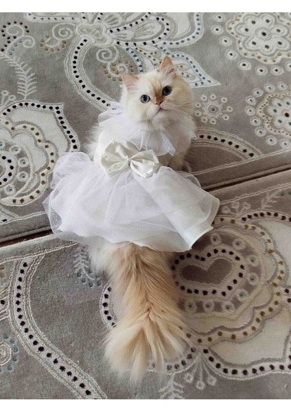 Kedi &köpek Gelinlik Abiye Elbise fırsatları