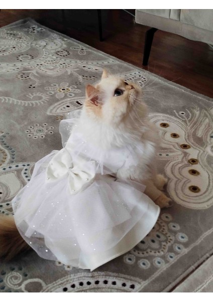 Kedi &köpek Gelinlik Abiye Elbise indirimleri