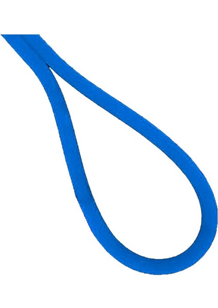 Mavi Neon LED Mavi (12V) (5mt Paket) fiyatları