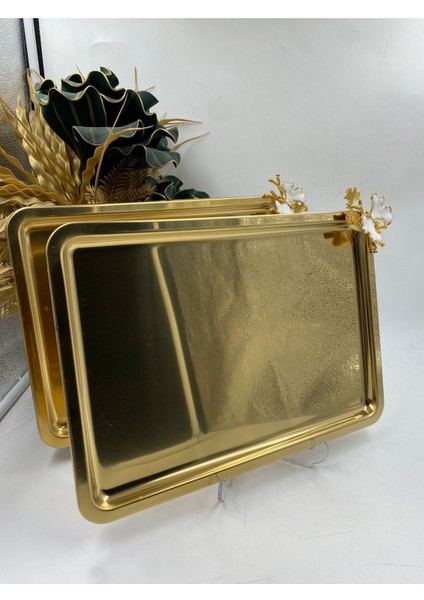 Gri Renkli 2'li Kelebekli Paslanmaz Metal Çay ve Kahve Sunum Tepsisi 33X23 cm indirimleri