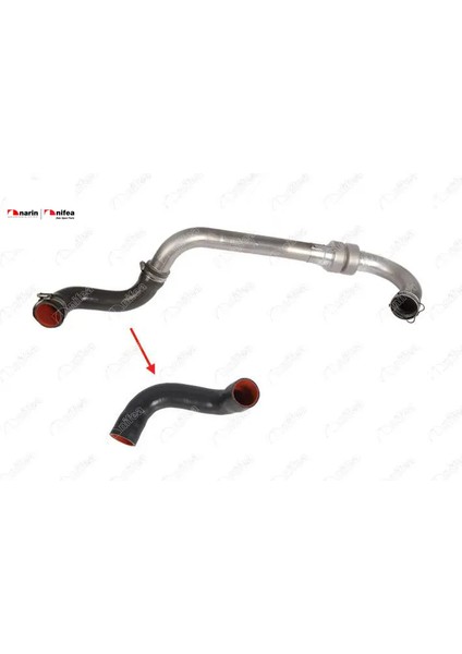 Turbo Çikiş Hortumu Megane Ii 1.5dci 110 PS/820027 Nifea 8200276297 Renault 11570