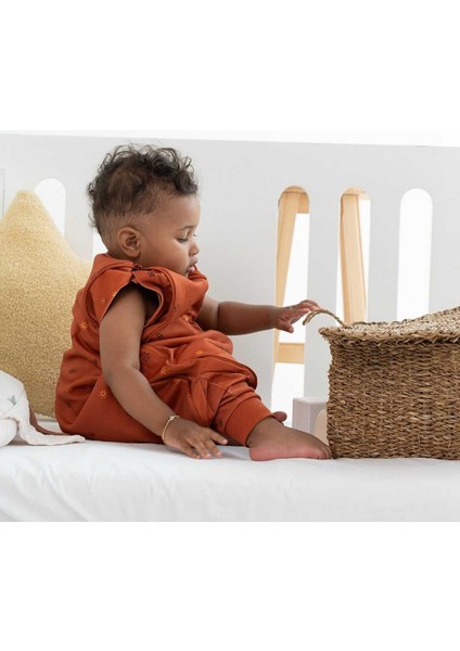 Uyku Gurusu 1.5 Tog Charm 0-36 Ay fırsatları