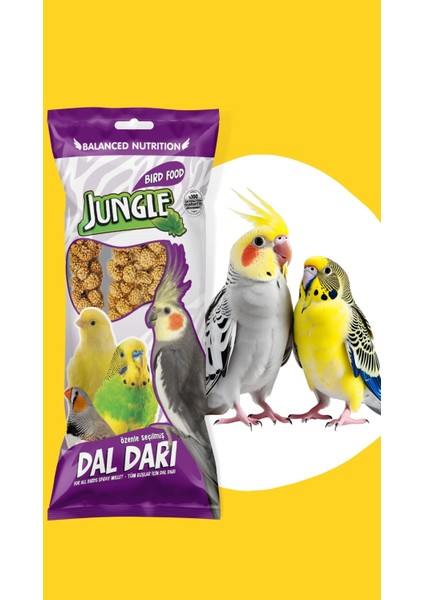 Doğal Dal Darı 120 Gr. fiyatları