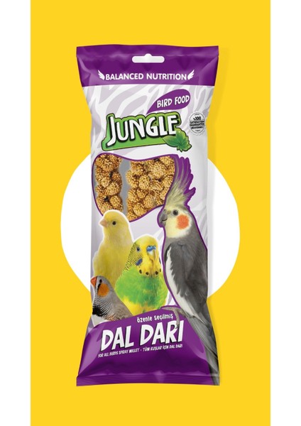 Doğal Dal Darı 120 Gr. modelleri