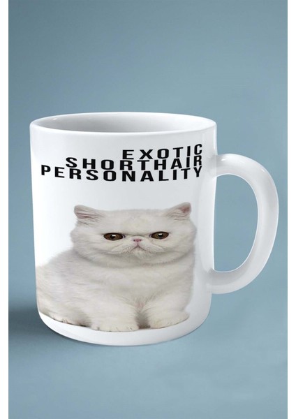 Exotic Shorthair Kedi Isimli Kişiye Özel Baskılı Kupa Bardak Model 5