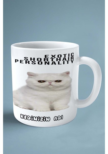 Exotic Shorthair Kedi Isimli Kişiye Özel Baskılı Kupa Bardak Model 5 fiyatları