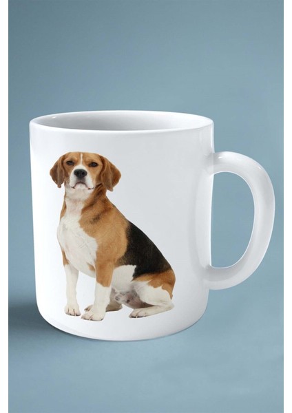 Jack Russell Terrier Köpek Isimli Kişiye Özel Baskılı Kupa Bardak Model