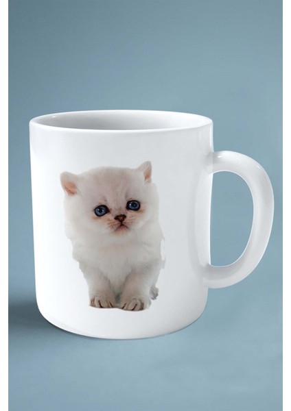 Exotic Shorthair Kedi Isimli Kişiye Özel Baskılı Kupa Bardak Model 12