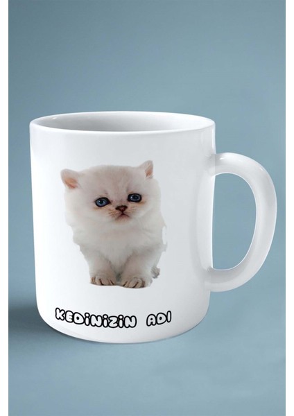 Exotic Shorthair Kedi Isimli Kişiye Özel Baskılı Kupa Bardak Model 12 fiyatları