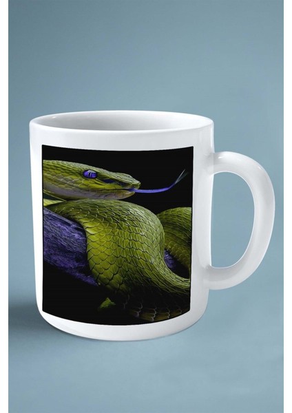 Yılan Baskılı Kupa Bardak Çift Taraflı Kişiye Özel Çerçeveli Renkli Model 27