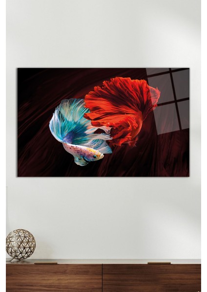 Kırmızı Mavi Beta Balıklar Yatay Cam Tablo, Modern Ev Ofis Dekoru, Hediyelik Duvar Dekorasyonu