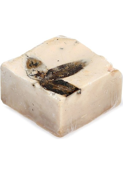 Bıttım Sabunu - 100 gr fiyatları