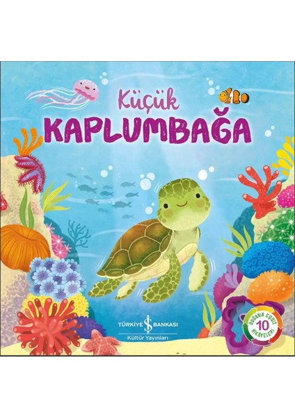 Aaaa Küçük Kaplumbağa – Doğanın Eşsiz Hikâyeleri 10