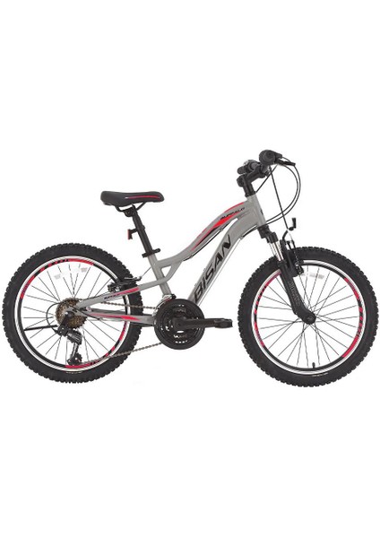 Buffalo 24 Jant 30CM Çift Amt.dağ Bisikleti Açık Gri Siyah Kırmızı