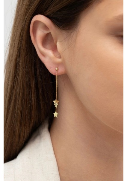 Yıldız Sallantılı Altın Küpe fiyatları