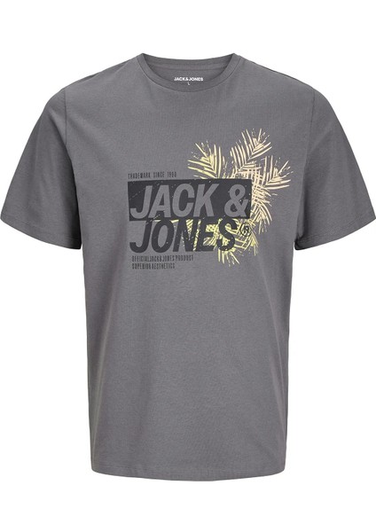 Jjjaxon Erkek Tişört fırsatları