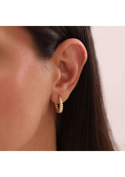 Burgu Bombe Halka Altın Küpe