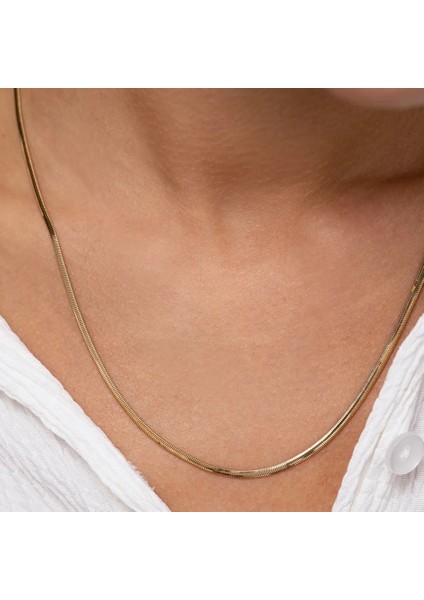 Altın Balık Sırtı Italyan Zincir Kolye