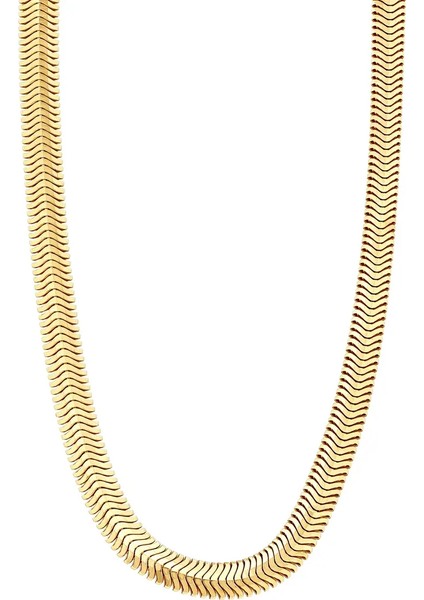 Altın Balık Sırtı Italyan Zincir Kolye fiyatları